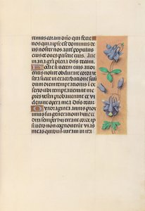 Hours of Queen Isabella the Catholic, Queen of Spain: Fol. 99r, c. 1500. av Master of the First Prayerbook of Maximillian