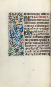 Timebok Bruk av Rouen: fol. 49v, ca. 1470. av Master of the Geneva Latini