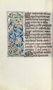 Timebok Bruk av Rouen: fol. 73v, ca. 1470. av Master of the Geneva Latini