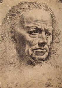 Hodet til en mann av Master of the Pala Sforzesca