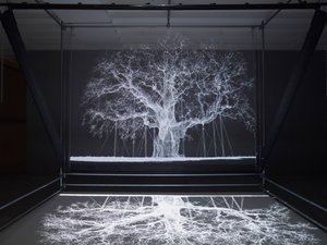  av Mat Collishaw