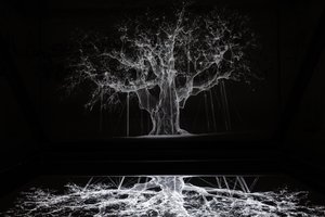  av Mat Collishaw