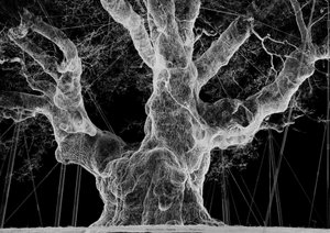  av Mat Collishaw
