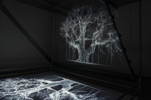  av Mat Collishaw
