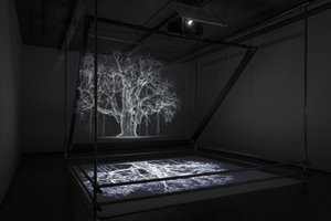  av Mat Collishaw