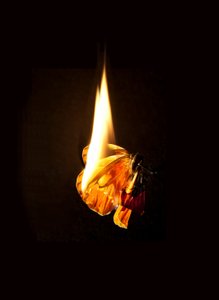  av Mat Collishaw
