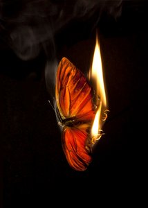  av Mat Collishaw