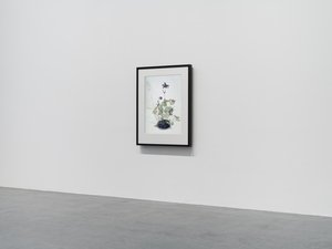  av Mat Collishaw