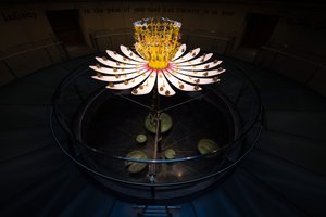  av Mat Collishaw