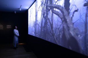  av Mat Collishaw