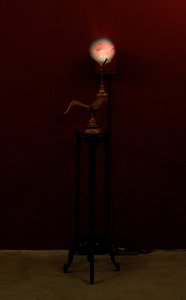 av Mat Collishaw