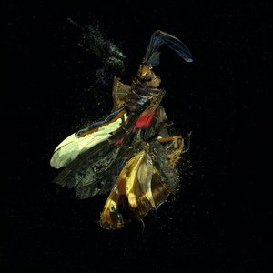  av Mat Collishaw