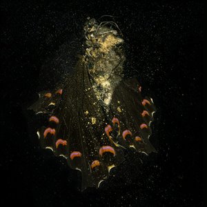  av Mat Collishaw