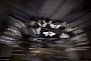  av Mat Collishaw