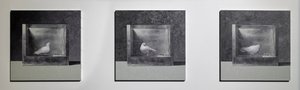  av Mat Collishaw