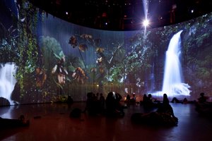  av Mat Collishaw
