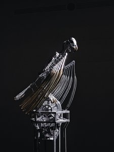 av Mat Collishaw