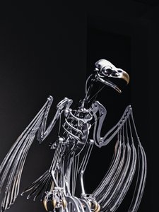  av Mat Collishaw