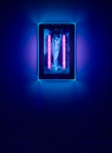  av Mat Collishaw