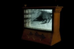  av Mat Collishaw