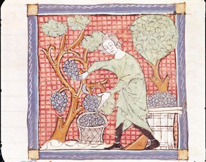 Fol.59r september: Høsten