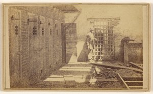  av Mathew B. Brady