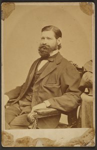  av Mathew B. Brady