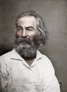 Walt Whitman , amerikansk poet, ca 1880-tallet.