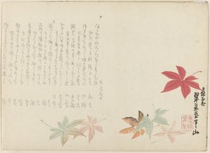 Japansk lønn av Matsukawa Hanzan