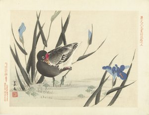 Sohne mellom blå iriser Blomster- og fugleskisser av Keibun- del tre (serietittel) Keibun kacho gafu kohen (serietittel på objekt)