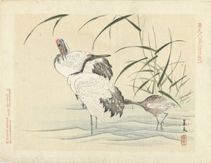 To traner med unger Blomster- og fugleskisser fra Keibun - del tre (serietittel) Keibun kacho gafu kohen (serietittel på objekt) av Matsumura Keibun