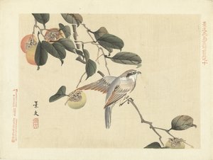 Fugl og persimmon Blomster- og fugleskisser fra Keibun – del én (serietittel) Keibun kacho gafu zen penn (serietittel på objekt)