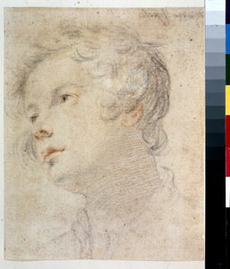 Hodet til en gutt. Maleri av Matteo Rosselli (1578-1650). Kritt og rødt kritt på papir