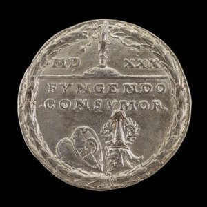 Skjold og ror [revers], 1529.
