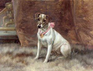 Den rosa sløyfen, 1898