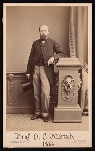Portrett av Othniel Charles Marsh 1831-1879, 1866.