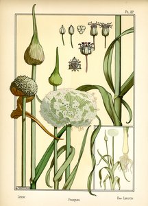 Purren (farge litho) av Maurice Pillard Verneuil