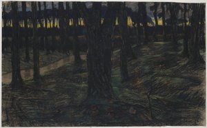 Skogutsikt ved solnedgang