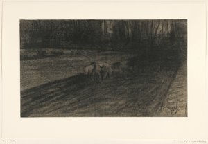 Pløying av hester