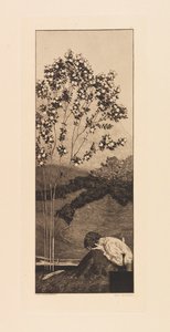Opus VI, fra Paraphrase on the Finding of a Glove, 1881. av Max Klinger