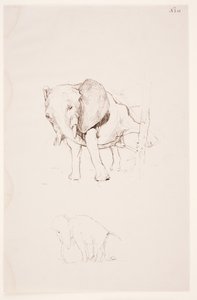 "Weg der Befleckung" - Elephant tjener sitt nødbehov. 2 studier av Max Klinger
