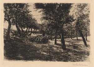 flokk med sauer under trær av Max Liebermann