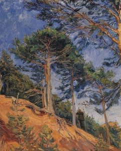 Jeger i åssiden. 1903