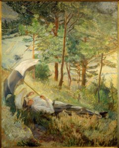 Sommermorgen (kvinne med paraply)