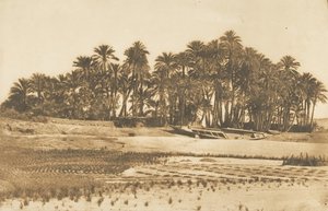 Utsikt over Elephantine Island, overfor Aswan, 1849-50. av Maxime Du Camp