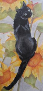  av Maxine Shore