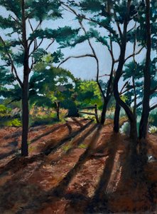  av Maxine Shore
