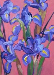  av Maxine Shore