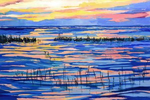 Levende solnedgang over myra av Maxine Shore
