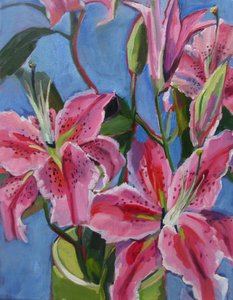  av Maxine Shore